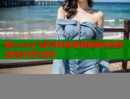 糖心vlog飞机号轻松管理视频内容高效提升创作效率