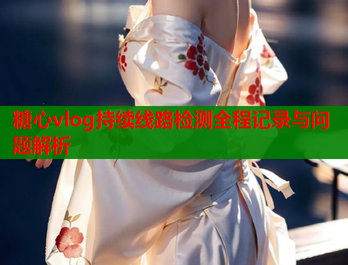 糖心vlog持续线路检测全程记录与问题解析