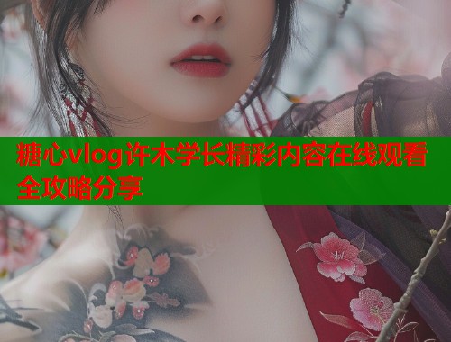 糖心vlog许木学长精彩内容在线观看全攻略分享